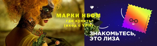 гашик Аркадак