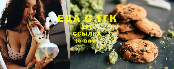 гашик Аркадак
