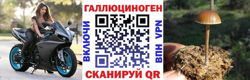 Купить  Питкяранта  Псилоцибиновые грибы MAGIC MUSHROOMS 
